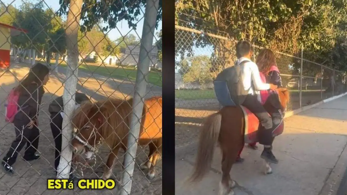 Montados en un pony, hermanos acuden a la escuela